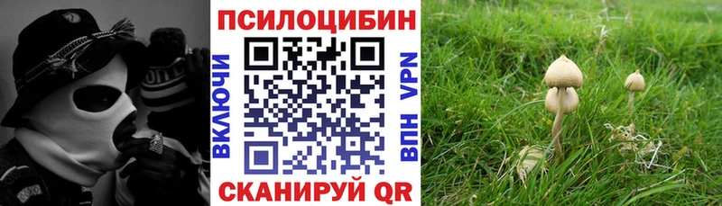 MEGA как войти Оренбург Галлюциногенные грибы Magic Shrooms