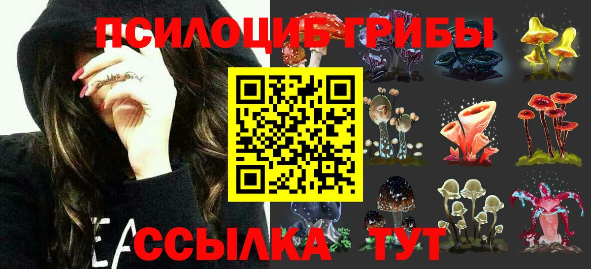Псилоцибиновые грибы MAGIC MUSHROOMS Оренбург