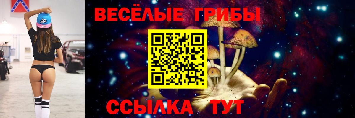 Галлюциногенные грибы MAGIC MUSHROOMS  Псилоцибиновые грибы Magic Shrooms  Оренбург  Вход с VPN 